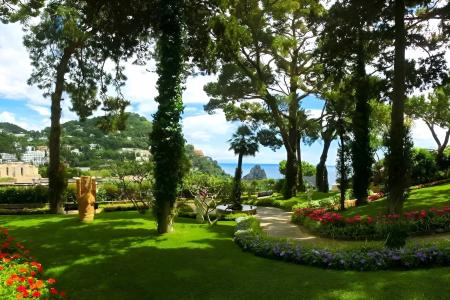 Giardino lussureggiante con vista mare, fiori colorati, alberi ombrosi e atmosfera serena.